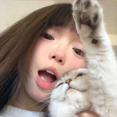 猫与爷爷